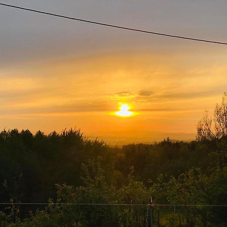 Ferienwohnung Zacisze Na Podzamczu Odrzykon Exterior foto