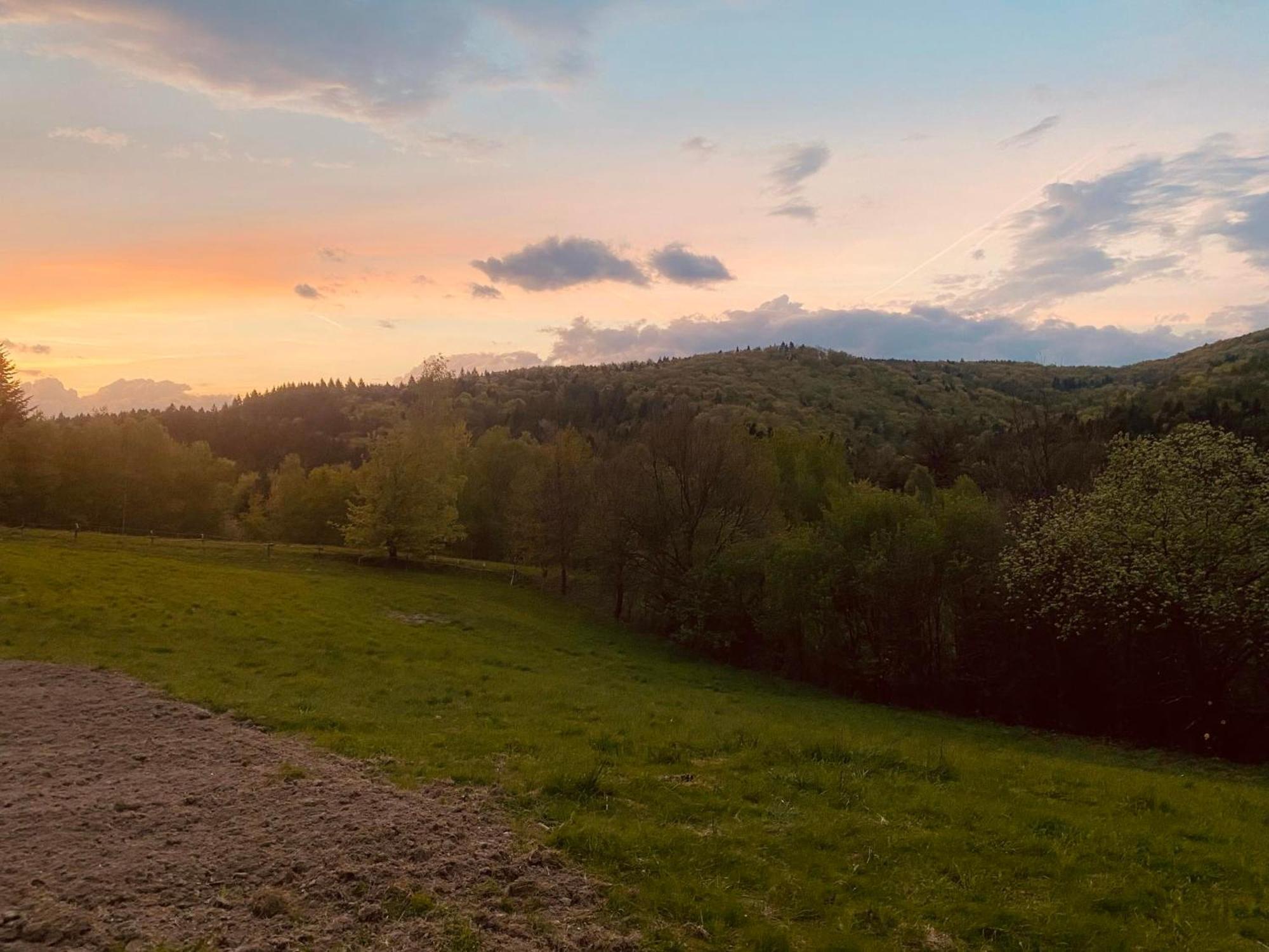 Ferienwohnung Zacisze Na Podzamczu Odrzykon Exterior foto